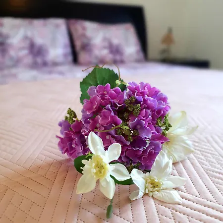 Tatil Evi Owls Nest Townhouse *