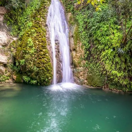 Tatil Evi Owls Nest Townhouse