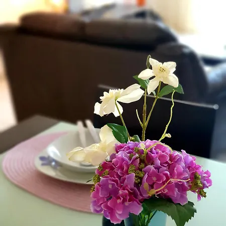 Owls Nest Townhouse Paphos