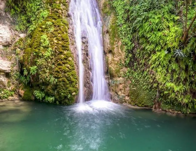 別荘 Owls Nest Townhouse